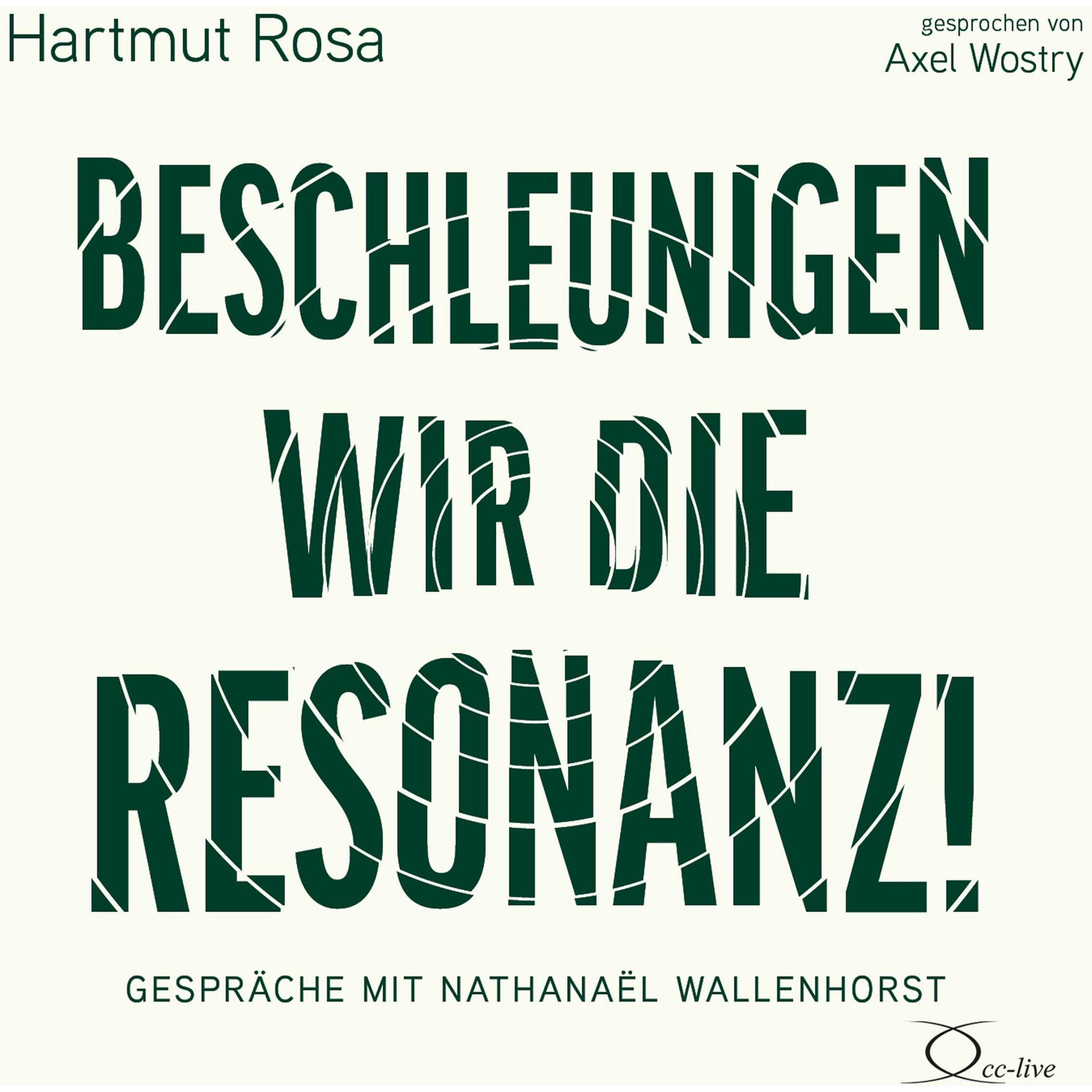 Rosa:Beschleunigen wir die Resonanz!, Fachbücher von Hartmut Rosa