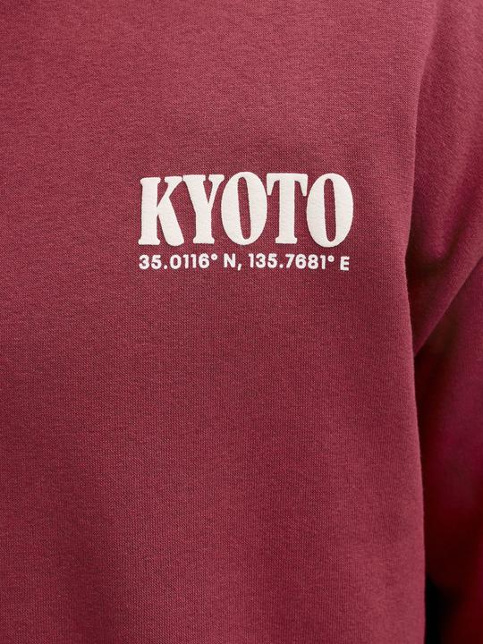 Produktbild Jack & Jones Sweatshirt Sweatshirt (L)