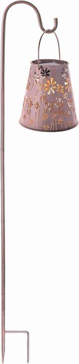 Image du produit STT Antic Daisy