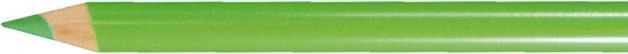 Produktbild Faber-Castell Farbstift Polychromos grasgrün 166 (Grasgrün, 1 x)
