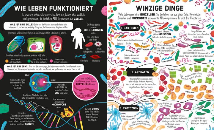 Produktbild James:Puzzle & Buch: Stammbaum des Lebe (300 Teile)