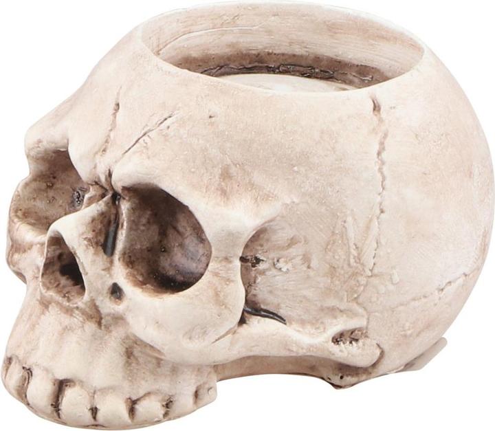 Chaks Totenkopf - Schädel