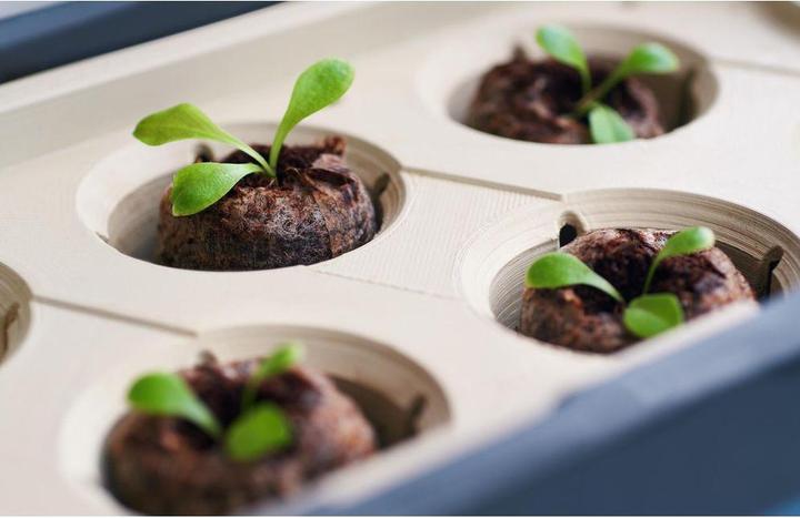 Productafbeelding Gusta Garden Kokosnoot Lentepotten HARRY HERBS, 16 stuks