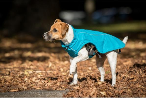 Image du produit Chiara Harry (M, Manteau pour chien)