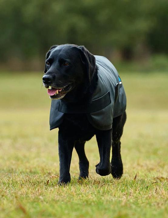 Produktbild Weatherbeeta Comfitec Classic (Hundemantel)