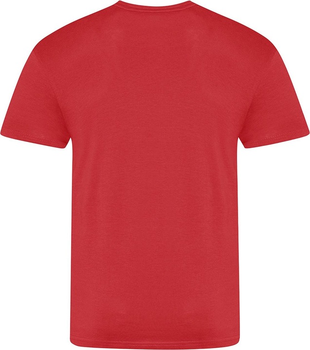 Actual product image Awdis The 100 Tshirt (L)