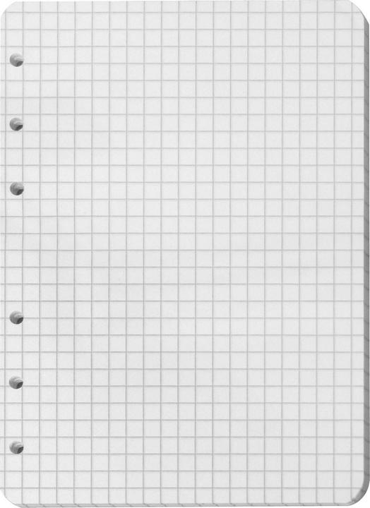 Actual product image Magni Ring binder inserts A6 white squared 50 sheets