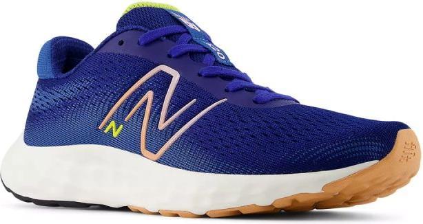 Actual product image New Balance W520RN8 520 v8 (36.5)