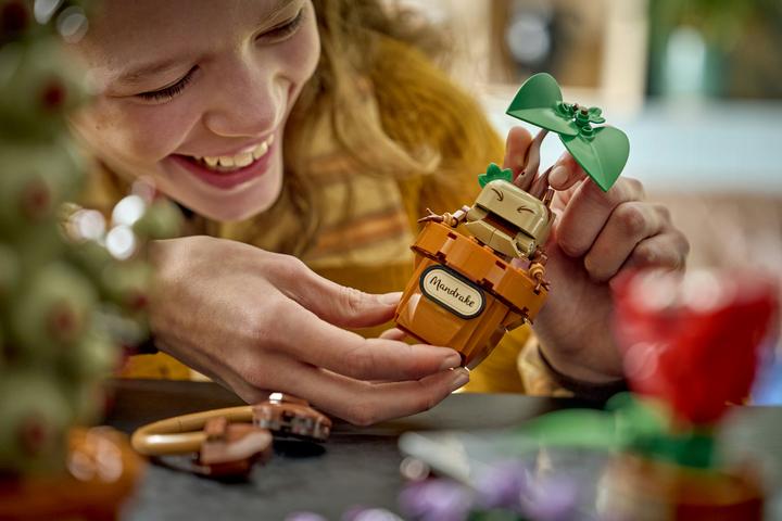 Produktbild LEGO Hogwarts Harry Potter Laufende Pflanzen (76474, LEGO Harry Potter)