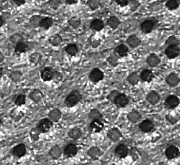 Produktbild Festool Longlife