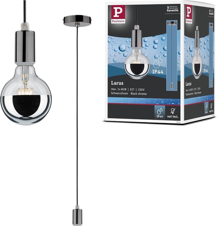 Image du produit Paulmann Larus (E27)
