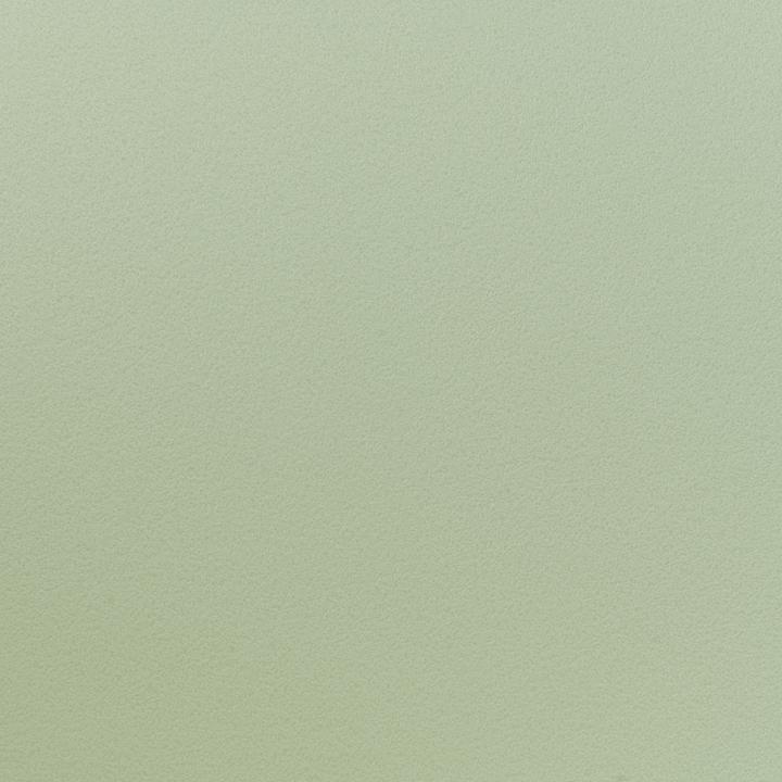 Produktbild Beliani Esszimmerstuhl Kunststoff hellgrün / heller Holzfarbton 2er Set FONDA II