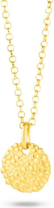 Image du produit Radiant Collier RY000028 50 cm (Acier inoxydable)