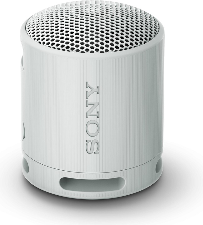 Sony SRS-XB100 (16 h, Akkubetrieb)
