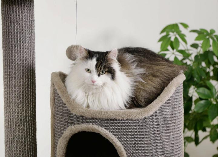 Produktbild Kerbl Tiana (130 cm, Grau)