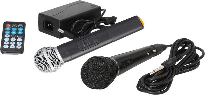 Actual product image Ibiza PORT8VHF-BT