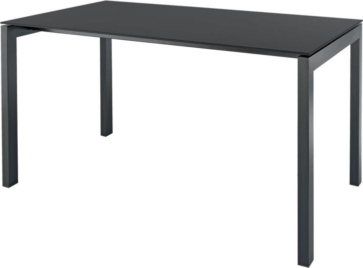 Schaffner Luzern (220 x 100 x 74 cm)