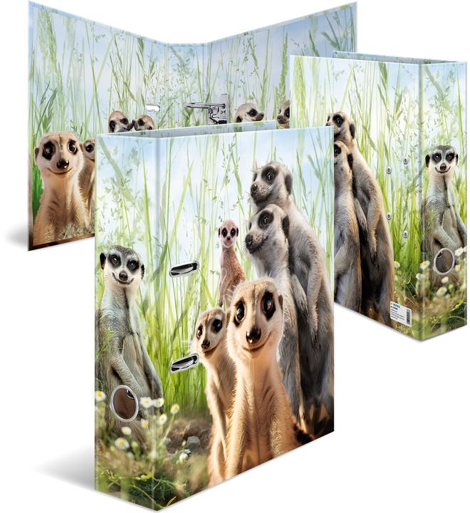 Image du produit HERMA Suricate (A4, 70 mm, 1 pièce(s))