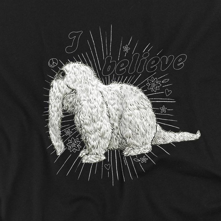 Produktbild I Believe TShirt (M)