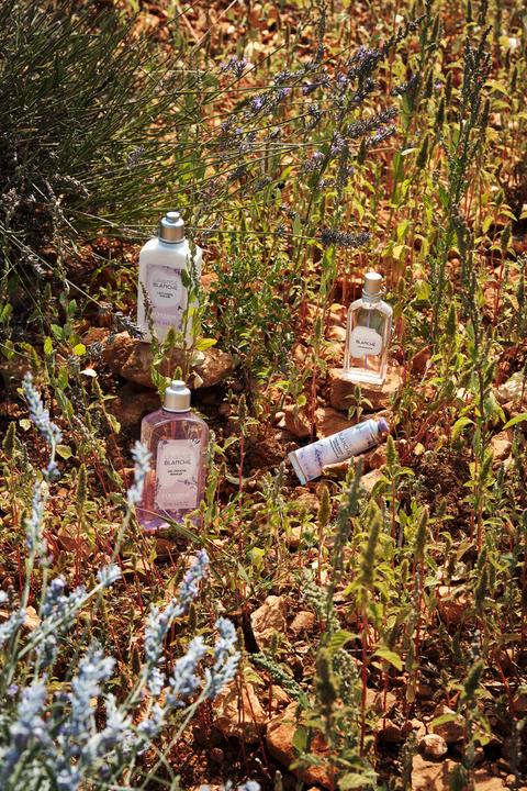 Image du produit L'Occitane LAVANDE BLANCHE Eau de Toilette (Eau de toilette, 50 ml)