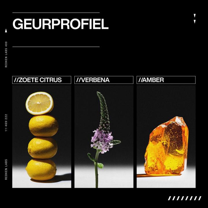 Image du produit Redken Système complet Acidic Grow (190 ml)