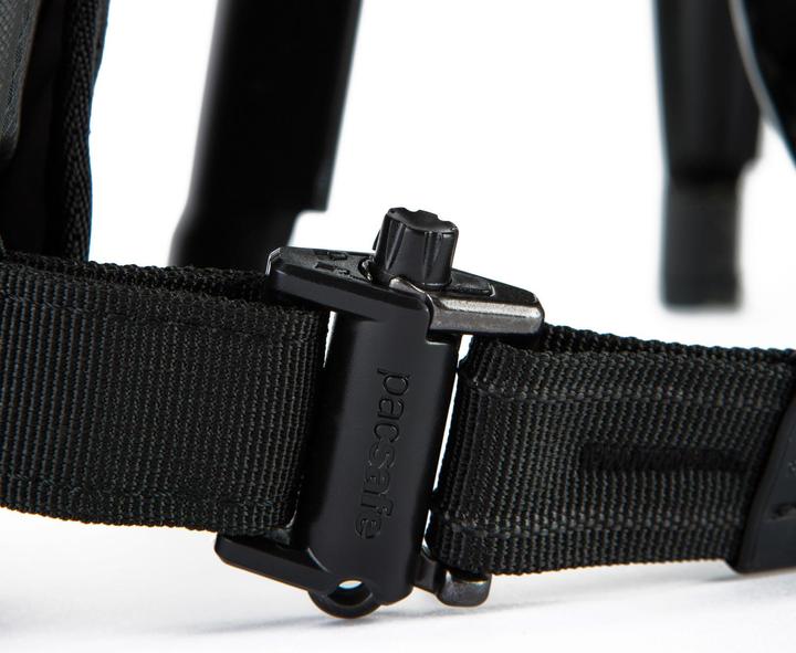 Actual product image Pacsafe Venturesafe X