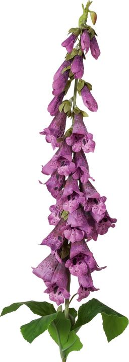 Immagine prodotto Boltze Home Stielblume (6 cm)