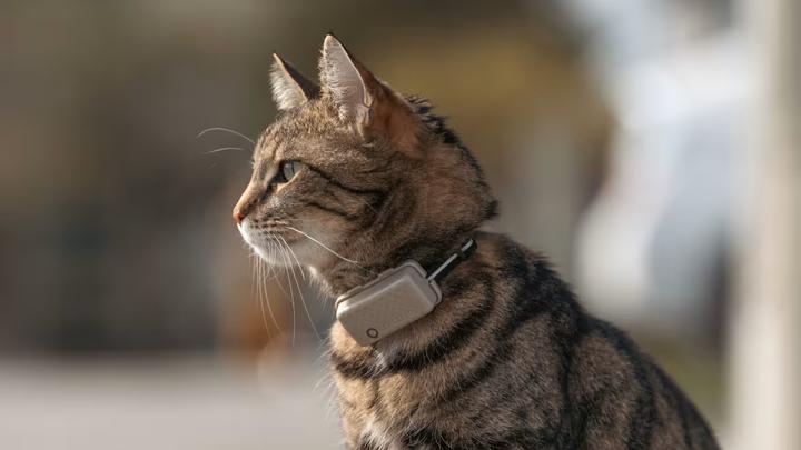 Produktbild Tractive GPS Mini (One Size, Katze, Allgemein)