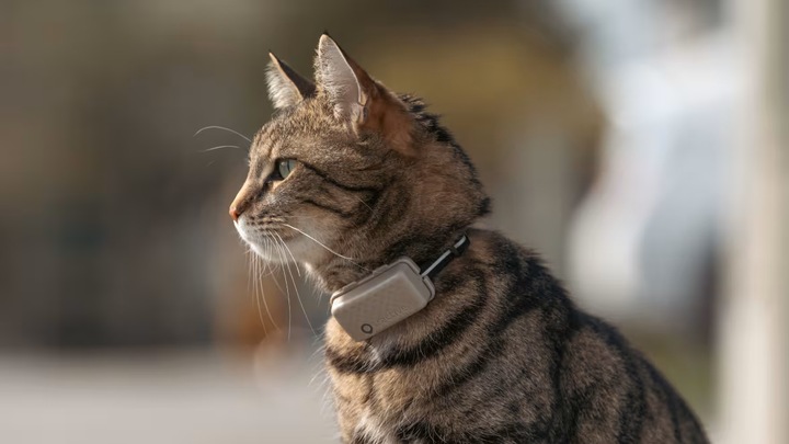 Immagine prodotto Tractive GPS Mini (Taglia unica, Gatto, Generale)