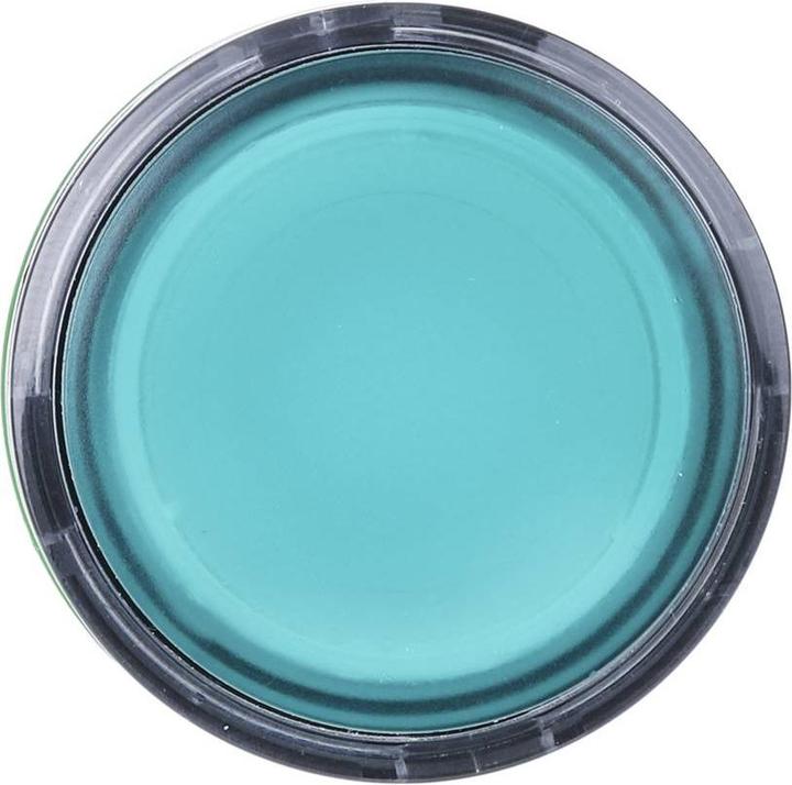 Actual product image Schneider Electric Push-button illuminable green
