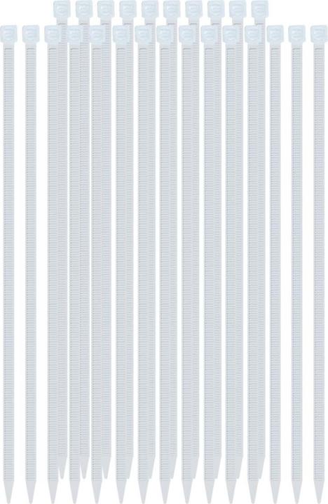 Produktbild Avizar Kabelbinder 3.6 x 300 mm 25 Stück Nylon (300 mm, 25 Stk.)