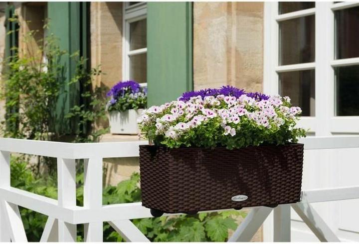 Immagine prodotto Lechuza Balconera Cottage (19 cm)
