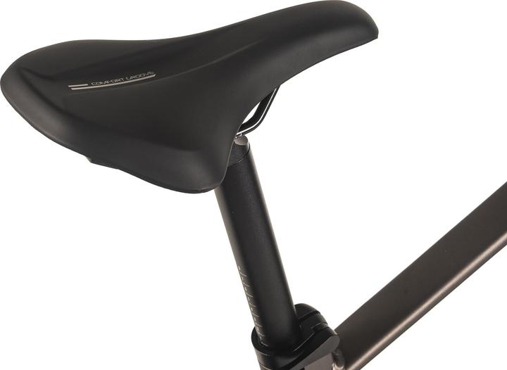 Actual product image Adore E-Mountainbike Hardtail 29" GX-750 Mittelmotor 130NM / 15Ah Platingrau (46 cm)