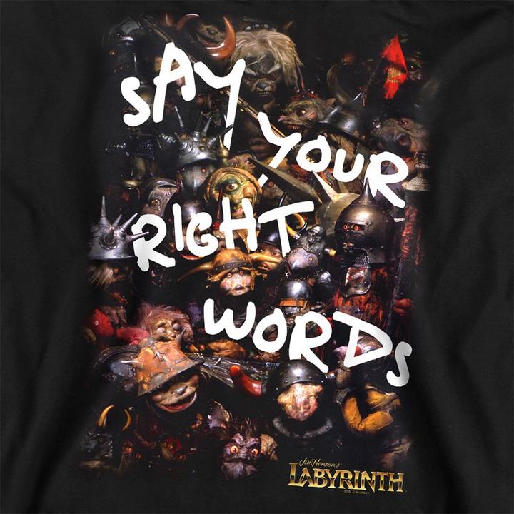 Produktbild Right Words Sweatshirt (XL)