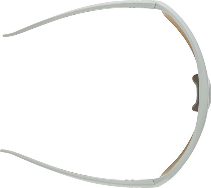 Actual product image Alpina Sports Turbo Hr (Smoke-grey matt, Mirror Green)