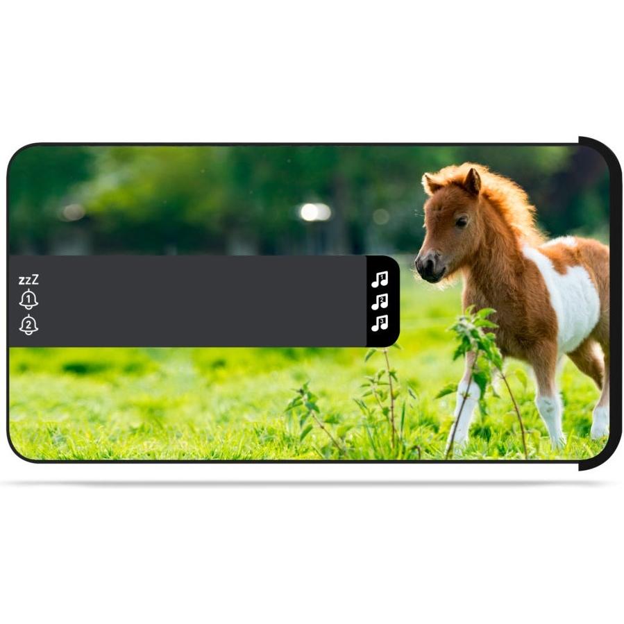 Thumbnail - Bigben, Wecker, Horses