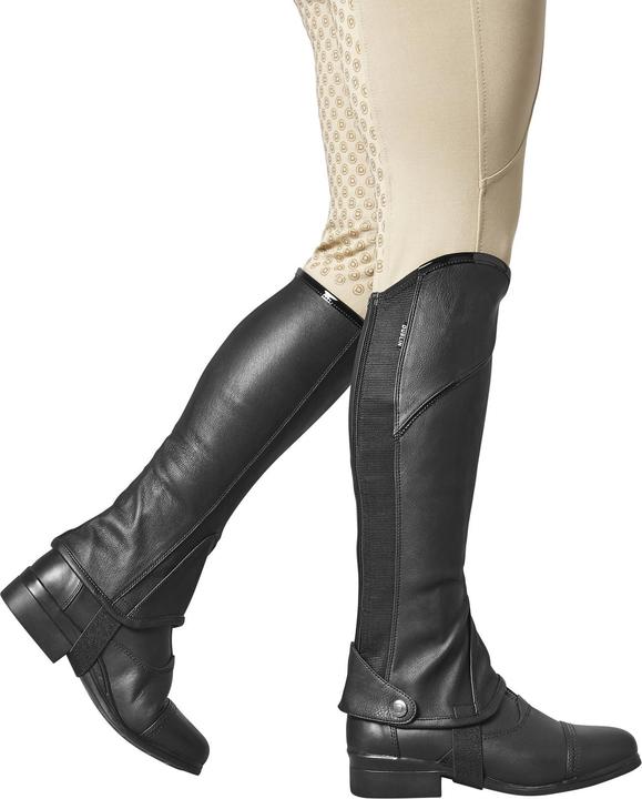 Produktbild Dublin Stretch Fit Halb Chaps (M)