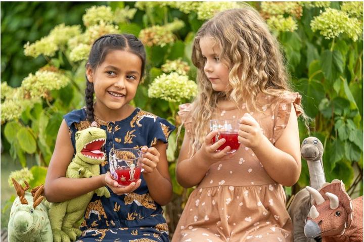 Produktbild Leonardo Kindertasse Avvenutura 280 ml, 6 Stück, Dinosaurier