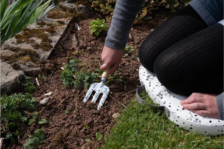 Actual product image Jardinopia Fork 101 Dalmatians