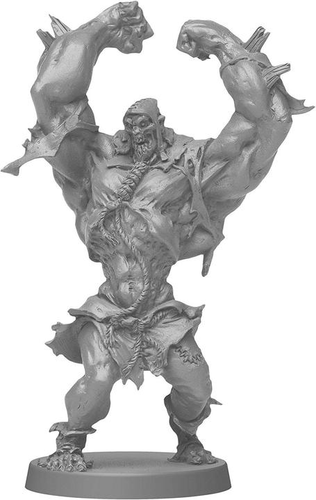 Actual product image Shots Zombicide Black Plague (French)