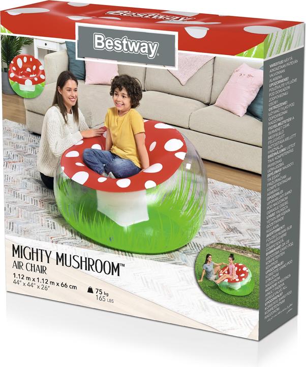 Produktbild Bestway 75123