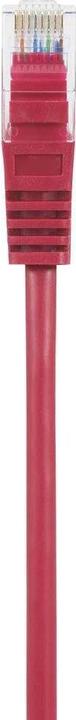Actual product image Renkforce RF-5043990 RJ45 network cable, patch cable CAT 5e U/UTP 0.15 m red with (U/UTP, CAT5e, 0.15 m)