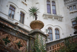 Image du produit Voigtländer Nokton 50mm / 1.2 VM asph. (Leica M, Plein format)