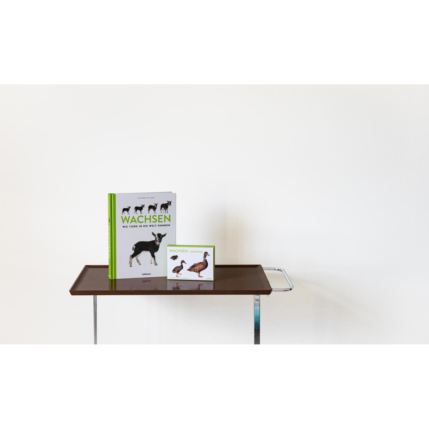 Thumbnail - Wachsen, Kunstkartenbox, Ratgeber von Willemsen