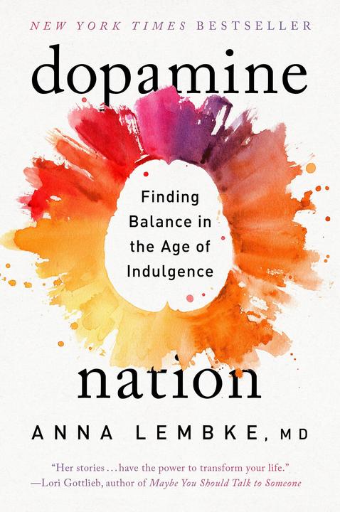 Image du produit Dopamine Nation (Anglais, Anna Lembke, 2023)