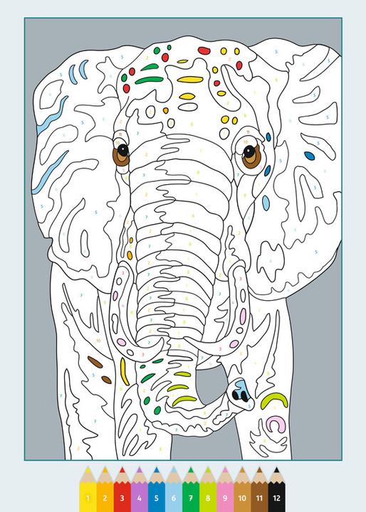 Produktbild Ravensburger CreArt Malen nach Zahlen Wilde Tiere