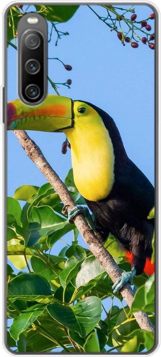 Tucan