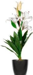 Paperflow LILIENBLUME Kunstpflanze 65,0 cm (65 cm)