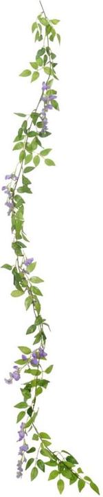 Immagine prodotto vidaXL Kranz