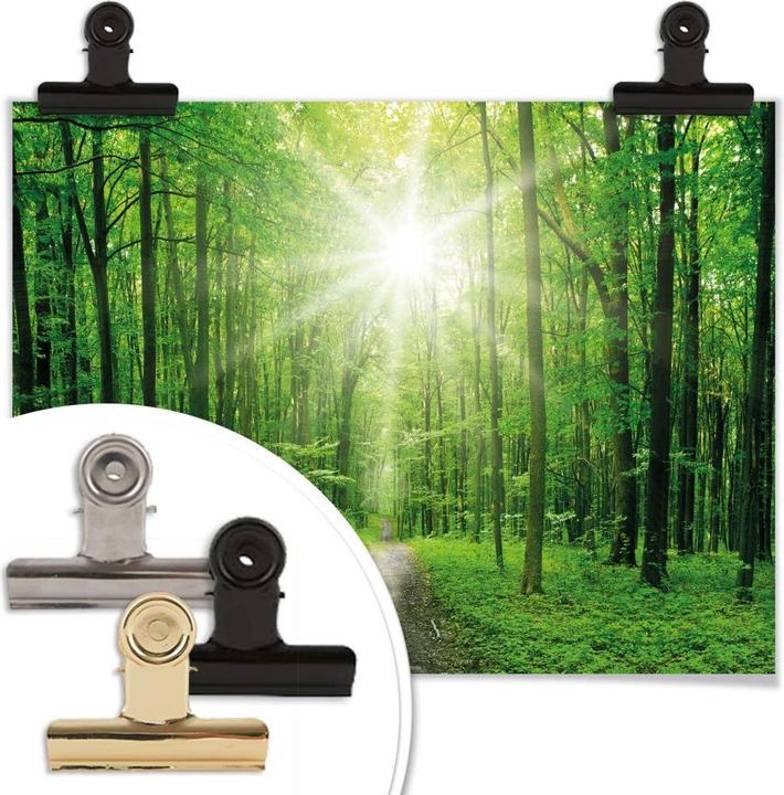 Image du produit Trenddeko Sunny Forest (60 x 50 cm)